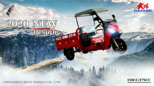 DAYANG C2 175CC Gasoline Engine Cargo Tricycle Lightweight and Ideal for Narrow Roads