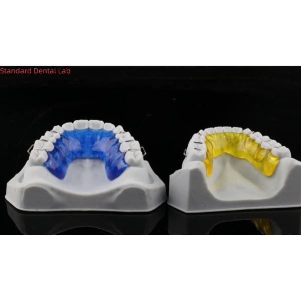 Comfortable Stainless Steel Acrylic Hawley Retainer Effective Orthodontics Appliance