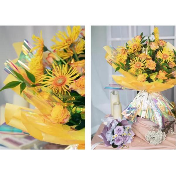 Papier d'emballage de cellophane iridescente de Wrapping Paper 50cmx50cm de fleuriste d'ANIMAL FAMILIER d'arc-en-ciel