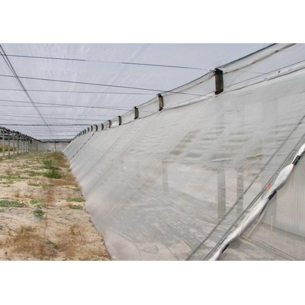 Monofilament Mosquito Net Screen Fine Mesh , Customized Fly Screen Netting