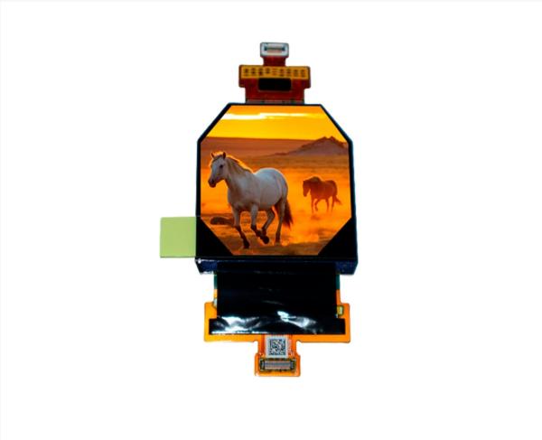 2.48 Inch VR Tft Display Tft Lcd Panel 1800X1920 Resolution 24 Pins Driving IC R63455