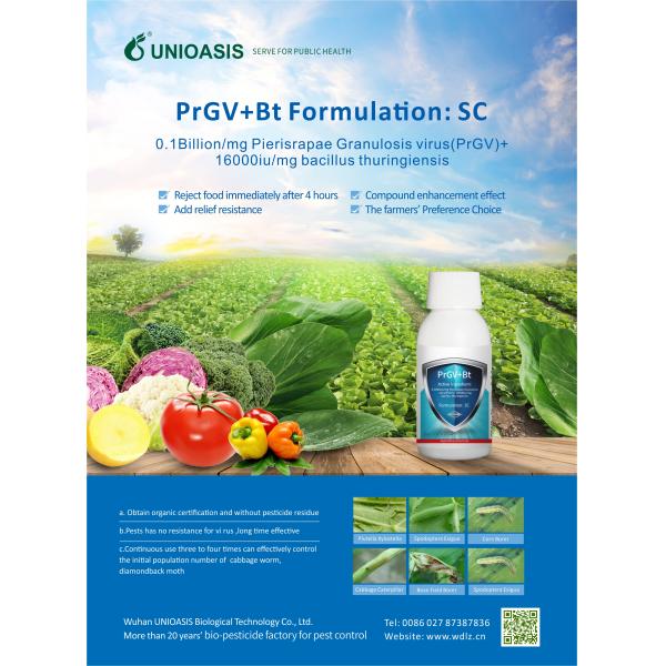 PrGV Bacillus Thuringiensis Природный спрей для жуков Органический инсектицид для баклажанов