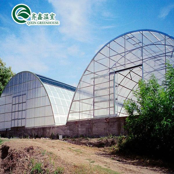 Single-Span Agricultural Greenhouses with Film Cover The Perfect Growing Environment