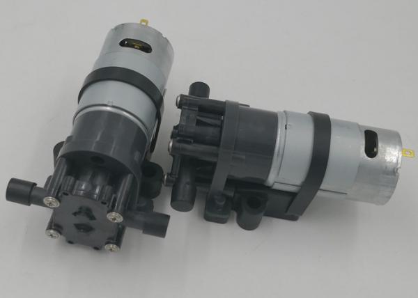 Low Pressure Mini Gear Pump Electric Power 2L/M Flow Longer Endurance Lifetime
