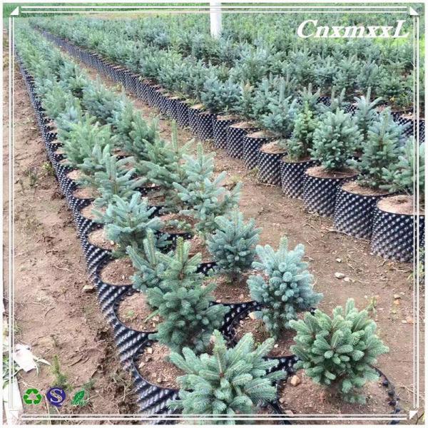 Plastic Air Pruning root plant pot For Gardening