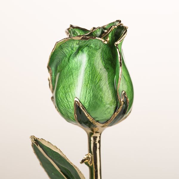 Gold Plated Rose  Wholesale Green Fresh Rose with Stem Present  Rose Gift Valentine Mother Day