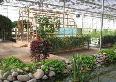 Fish Farming Garden Glass Greenhouse Strong Drainage Capacity 8m*4m Dimension