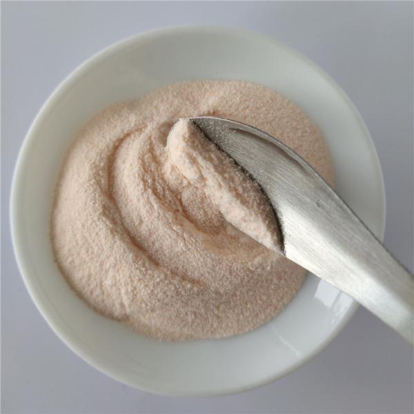 Wholesale Carica Papaya Fruit Juice Powder/Carica Papaya