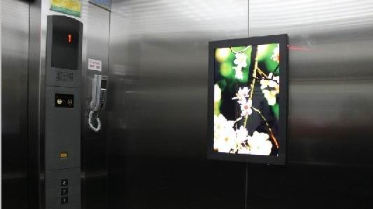 Экран дисплея LCD реального цвета по вертикали 55 дюймов для медиа-проигрывателя