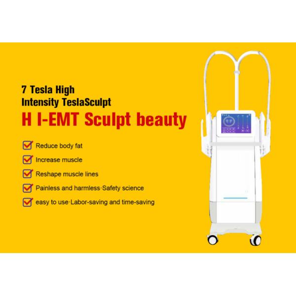 Тело IPL скульптуры мышцы контуря уменьшающ машину