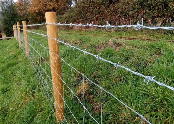 75mm-120mm Barb Spacing Barbed Wire Fence security farm fencing