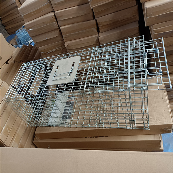 24x7x8'' Collapsible Live Animal Trap Cage 1x1 Inch Wire Mesh Galvanized