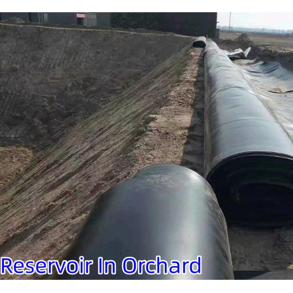 0.3mm-0.8mm Толщина HDPE Геомембрана Рыбный пруд линейка для лотосных прудов лотоса корневых прудов