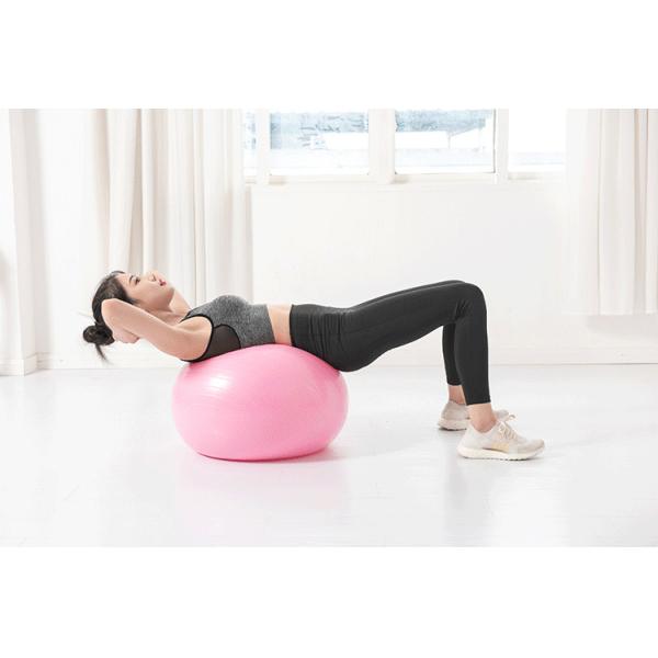 ZH Purple 45CM Inner Thigh Workout Yoga Ball 1600g Fitness Gear Stability