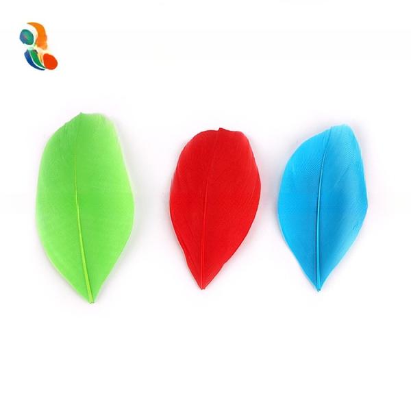 4 à 6 cm de costume de carnaval rayé Plumes, plumes de nagouire d' oie Des dessins accrocheurs