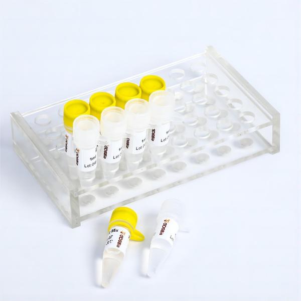ARMS QPCR Mix SNP Genotyping