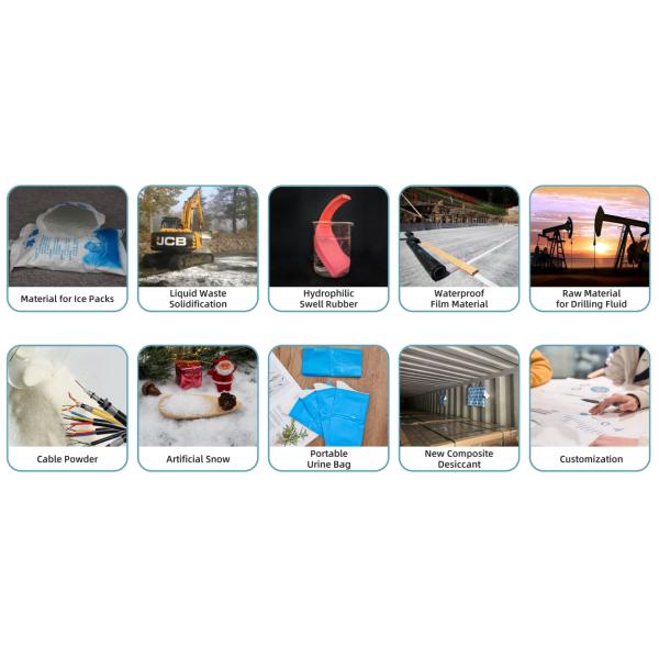 Industry Grade Sodium Polyacrylate High Absorption Capacity Polyacrylic Acid Sodium Salt 9003-04-7