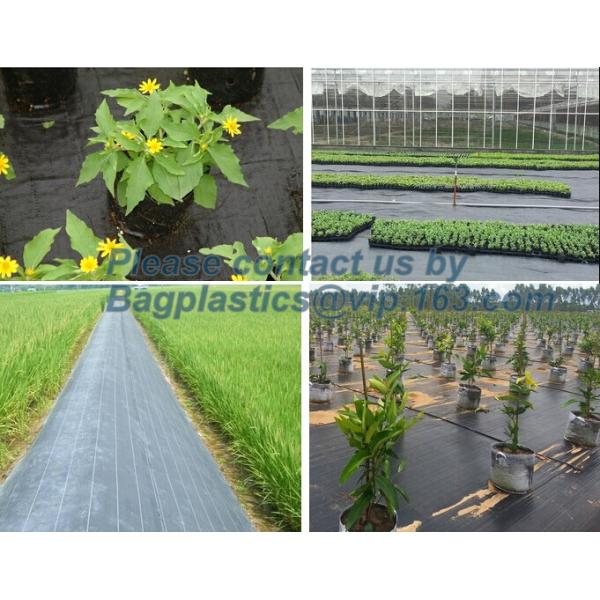 Двор консервации мостовой управлением weeb водопользования украшает vegetati предохранения от seedbed прессформы анти- насекомого анти-