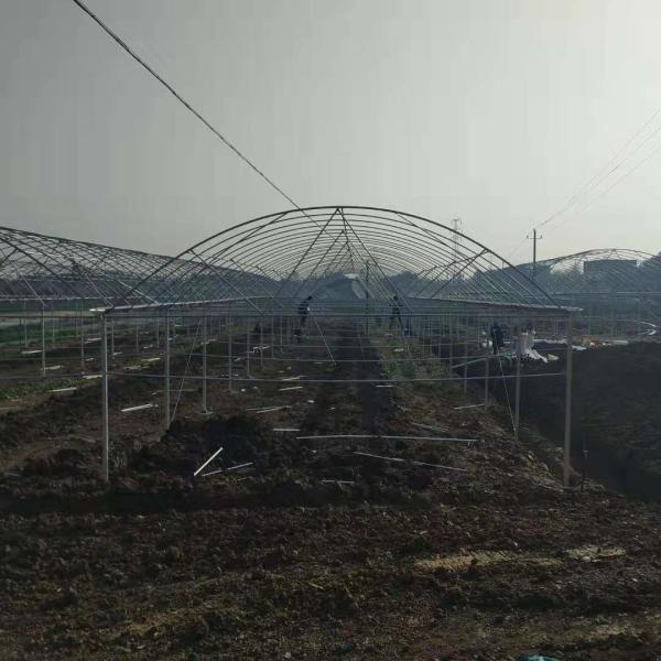 Estufa do período da vertente plástica multi/polietileno agrícola para crescer o túnel