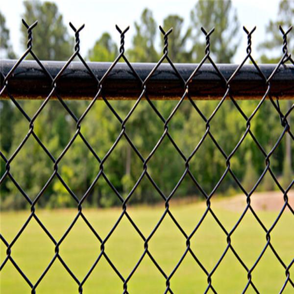 OEM 25 футовый цепной забор с цепной связью фермы