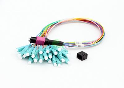 50 / 125 900um Ruggedized o cabo 24F do Fanout de MPO com temperatura de funcionamento larga