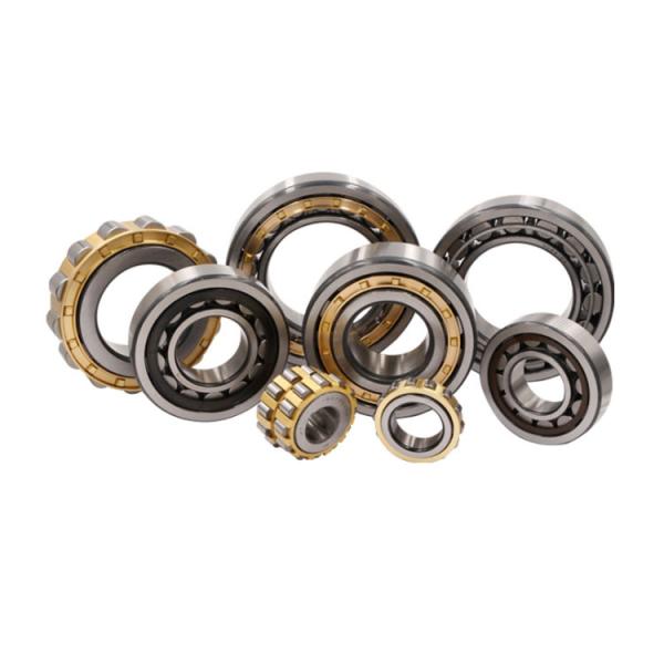 Сталь подшипника ролика NU203 цилиндра клетки открытых уплотнений латунная автоматическая рисуя