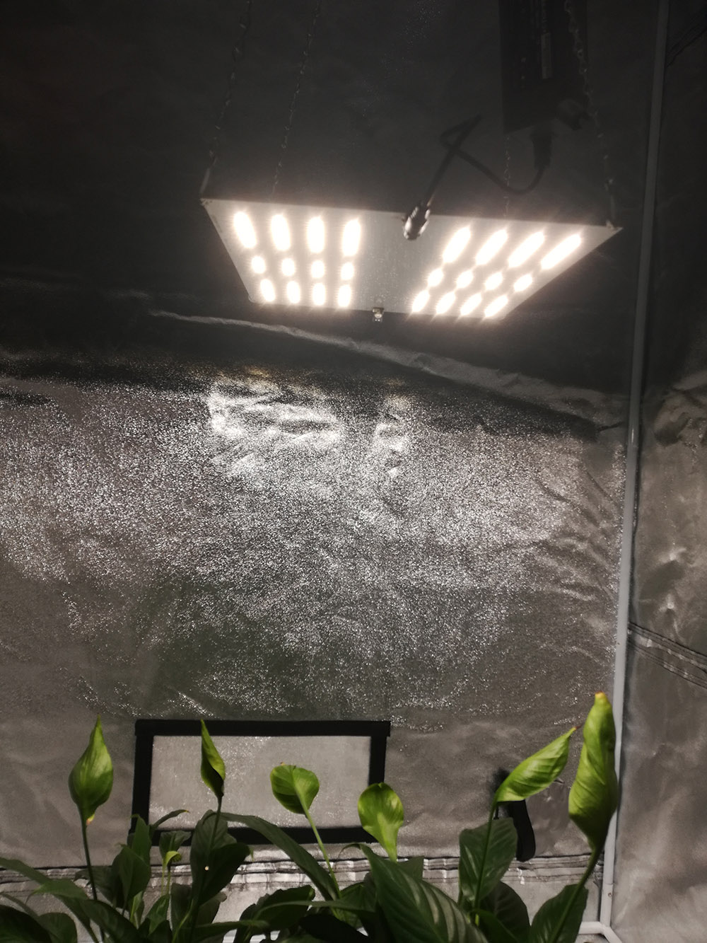 Полное СИД спектра HLG120 растет светлые диоды 90W Samsung LM301B