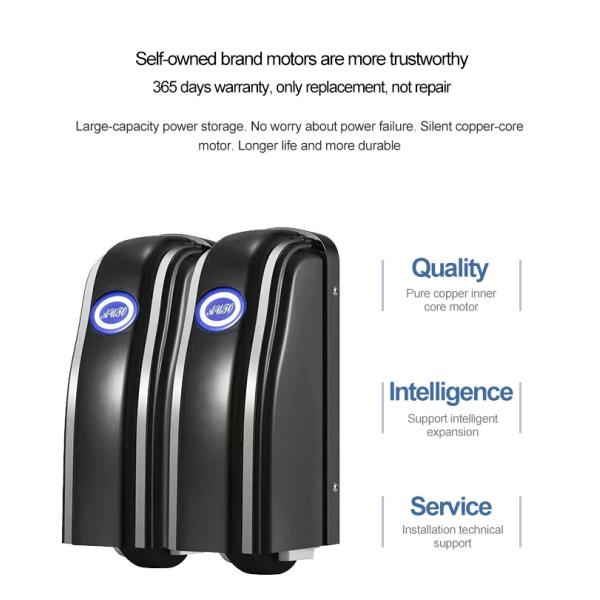 Внешнее оформление черный вход двойная дверь из нержавеющей стали кованое железо дизайн главные ворота