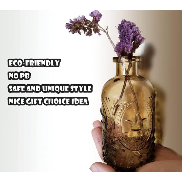 Glass Medicine Spice Container Drift Mini Vase for Cosmetics Made of Glass