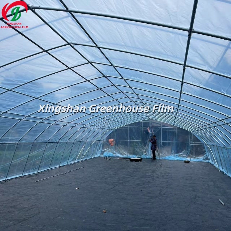 Multi Layer Co Extrusion Greenhouse Plastic UV Resistant Film For Horticulture Nurseries