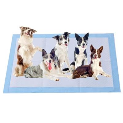 Disposable Puppy Training Mats Dog Pee Pads Rapid Absorption 45x60cm 60x60cm 60x90cm