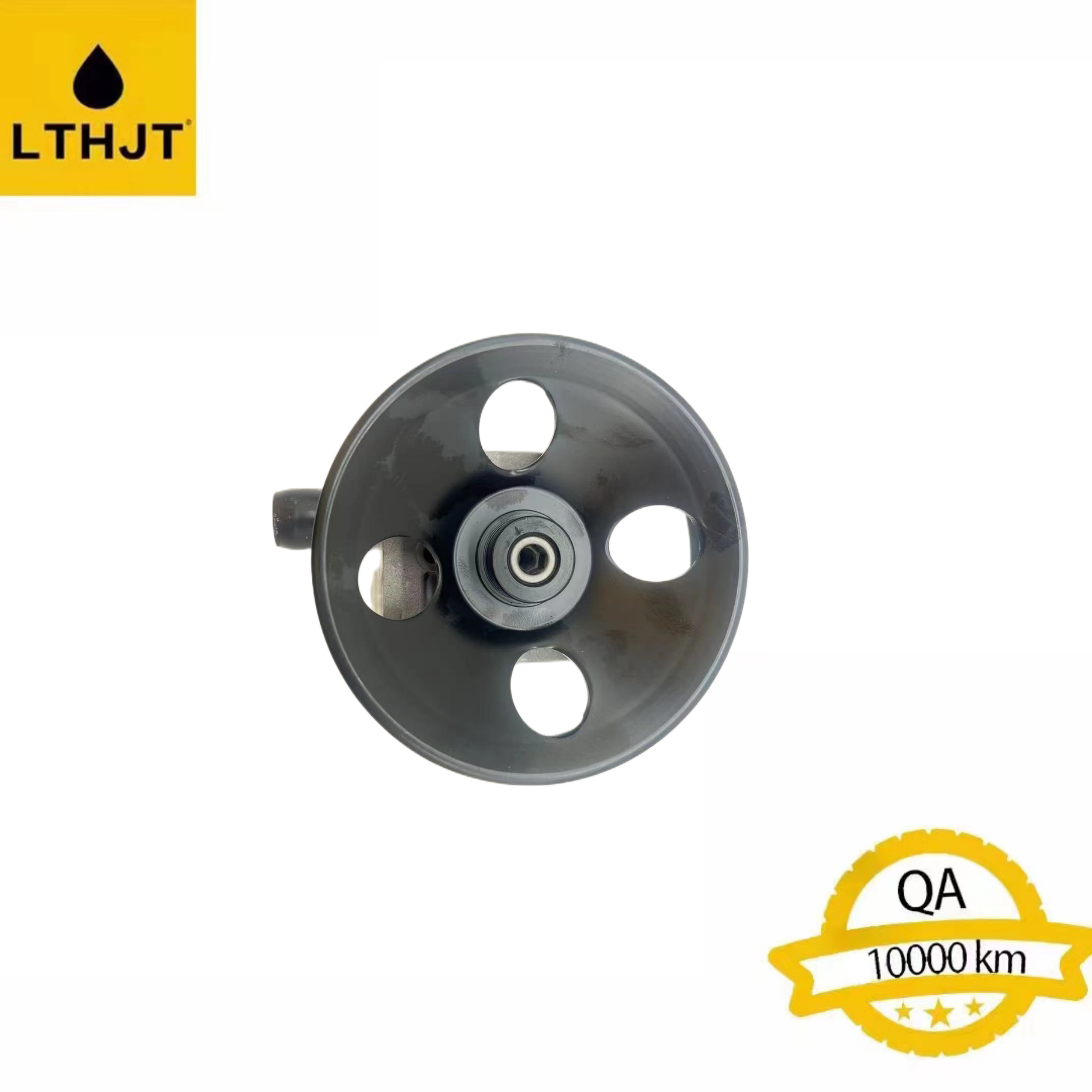 Power Steering Pump 36050558 Servo Resistant Pump