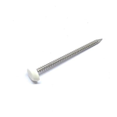 50mm x 2.65mm Ring Shank Plastic Cap Roofing anular prega a categoria A4 de aço inoxidável
