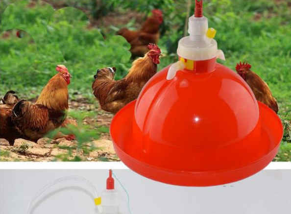 Poultry Drinking Lines System 80pcs Chicken Feeders And Drinkers