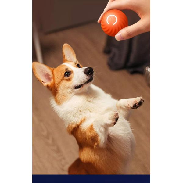 Material de silicona ABS para mascotas Auto-movimiento de entrenamiento de perros Juguete de gatito para entretenimiento en interiores