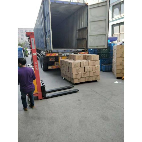 Egg Shaped Tumbler Cup 12oz Double Wall Insulated Stainless Steel with Lid