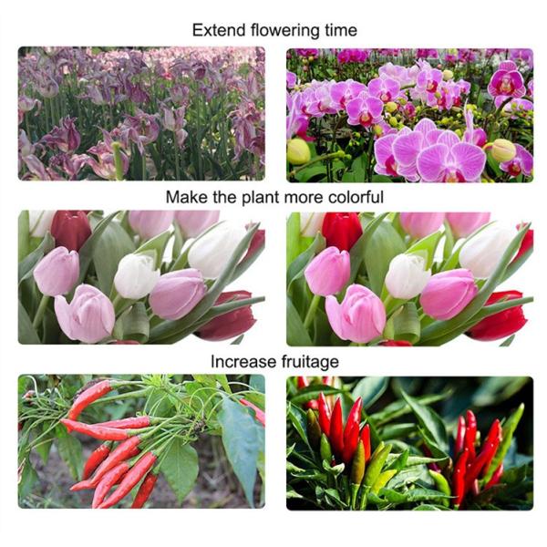 Indoor Grow Kits 200W Led flood Growth Light For Greenhouse High Bright