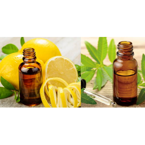 Body Wash Fragrances  Lemon Verbena Fragrance Essence  Oil For Shampoo and Shower Gel & Scented Soap Making- IFRA