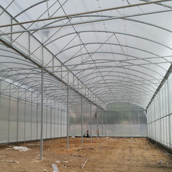IGreen Tunnel Strawberry Greenhouses for Sale Price of M2 Agricultural Greenhouse
