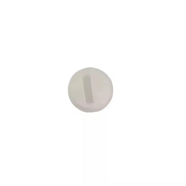 1605845 Flat Spray Nozzles 2.5-mm Powder Coating Gun Parts