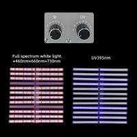 Lumière de croissance des plantes à LED à spectre complet 395nm Dimmable détachable SAMSUNG Lm301h LM281b