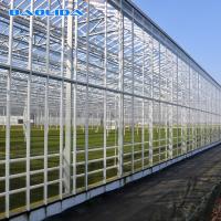 Controle totalmente automático do clima da estufa de vidro de Venlo do túnel