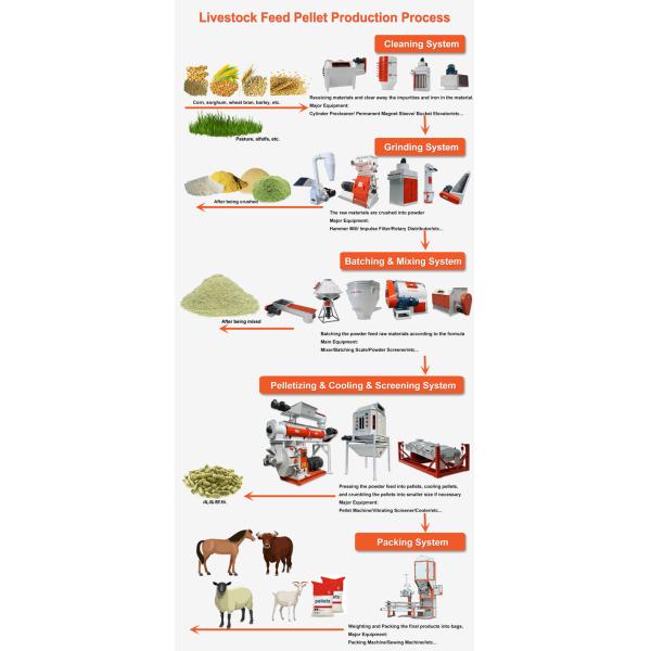5t/H 15mm Cow Cattle Pellet Production Plant 300kw