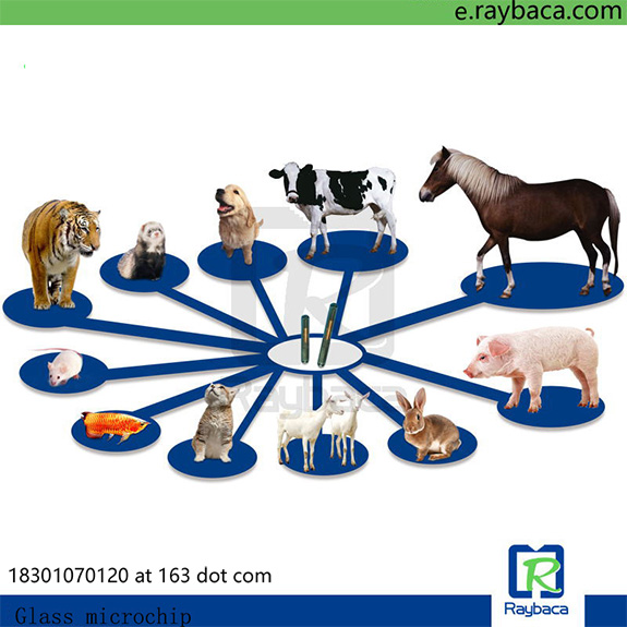 Бирки уха козы RFID животные, 2 части поголовья отслеживая бирку ETP11