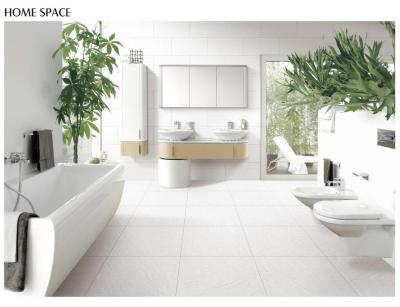 La pleine porcelaine antibactérienne du corps ISO13006 couvre de tuiles le salon blanc 9.5mm de moule