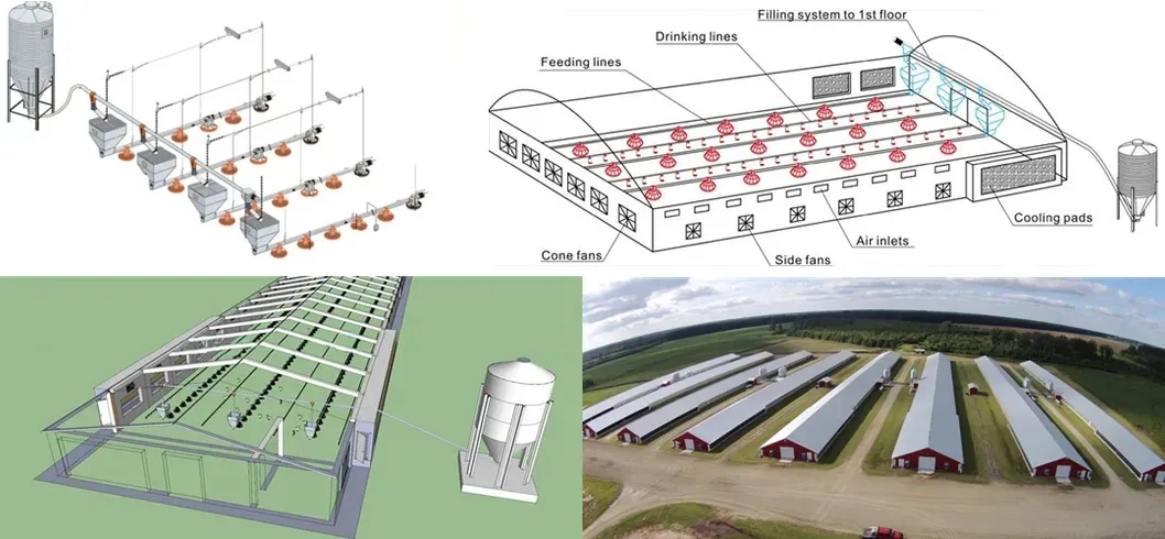 Chicken Poultry Equipment PP Materials Automatic Pan Feeding System Easy Clean