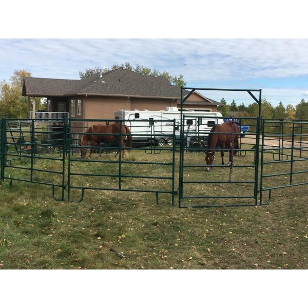 1.5m High Portable Galvanized 32OD Pipe Farm Fence Panels Heavy Duty