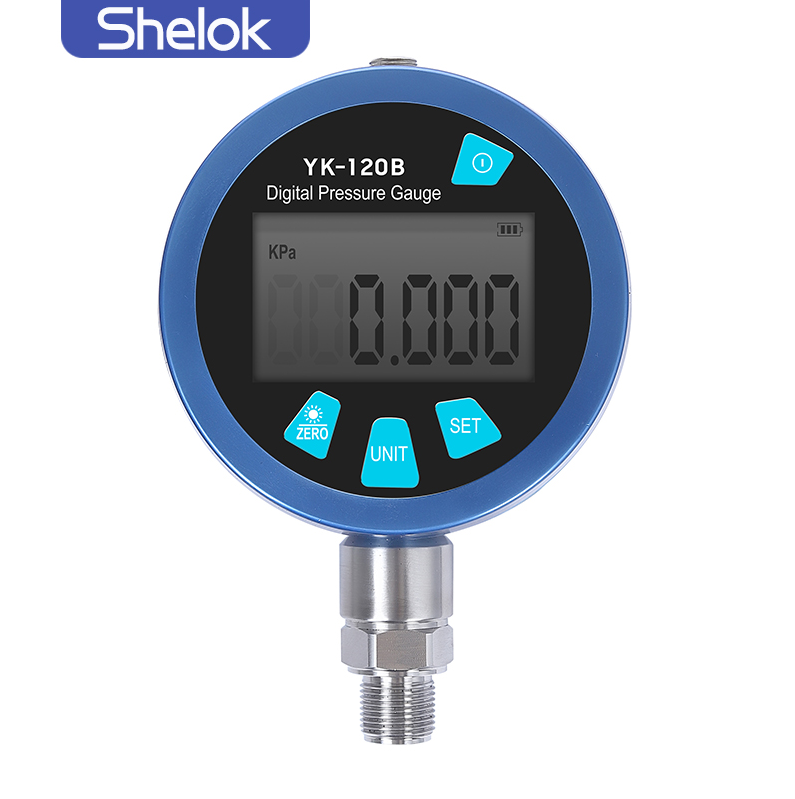 Digital Pressure Gauge Equipped with Microprocessor for Nonlinearity Correction and Flexible Functional Parameter Configuration
