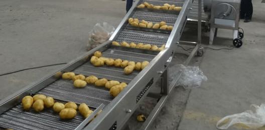 Industrial Fried French Fries  Making Machine ,large capacity Potato Chips Production Line