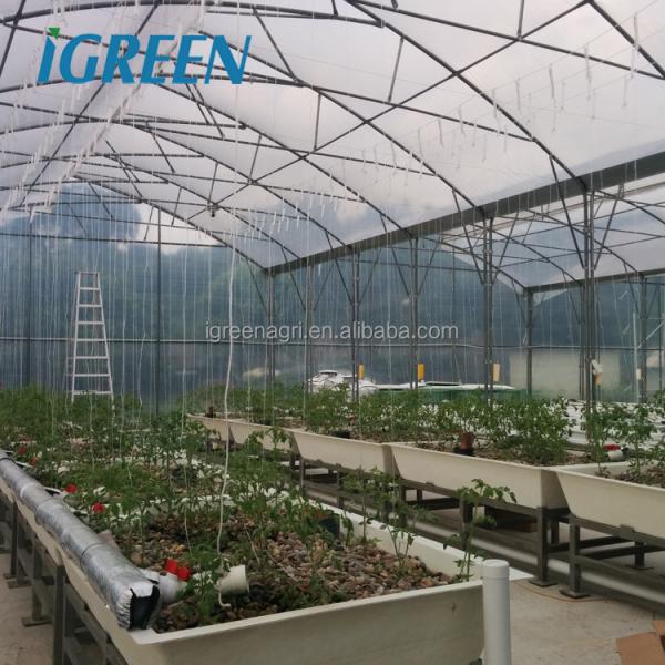 S Hot Dipped Galvanized Steel Structure Greenhouse for Agricultural Vegetable